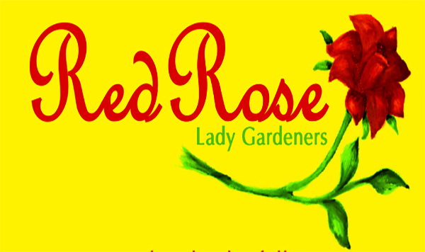 Red Rose Lady Gardeners discount voucher